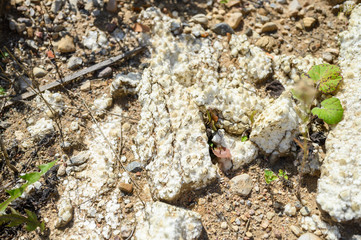 garbage dump in the forest outdoor. concept of a global environmental problem. top view