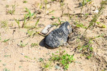 dirty Shoe on the ground. garbage dump in the forest outdoor. concept of a global environmental problem