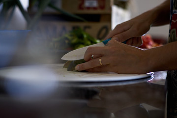 Manos de joven esposa cortando vegetales