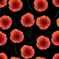 Beautiful red poppies isolated on black background. Bright Floral seamless Pattern. Summer backdrop. Can be used for textile,wallpaper,print,web design, fabric, wrapping paper. Hand drawn illustration
