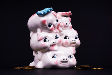 Piggy bank pig. Money in the piggy bank. Top view photo on a dark background
