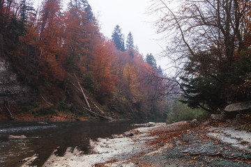 Mountain river in autumn time. Rocky shore. Colorful forest