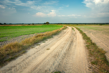 Fototapeta na wymiar A sandy dirt road through fields and meadows, the horizon and clouds on the sky