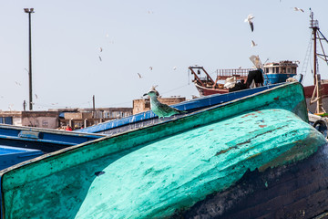 Obraz premium blue boats in the port of Essaouira