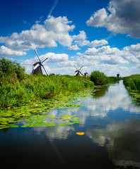 Windmills at Kinderdijk the Netherlands
