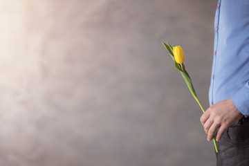 Jeden żółty tulipan trzymany w ręce przez mężczyzne - obrazy, fototapety, plakaty