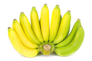Bunch of Gros Michel banana  isolated white background.