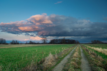 Fototapeta na wymiar A dirt road through green fields and evening colorful clouds on the sky