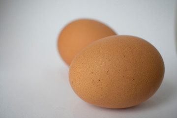 eggs on white background