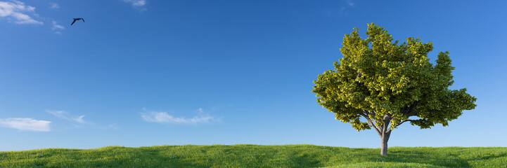 Landschaft mit grüner Wiese mit Baum und Himmel