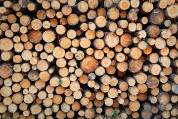 Pile of cut wood and evenly stacked, background