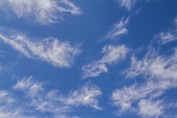 The blue sky and beautiful white clouds