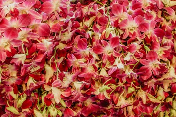 background of flowers
