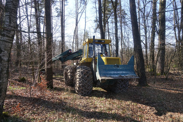 Harvester im Wald