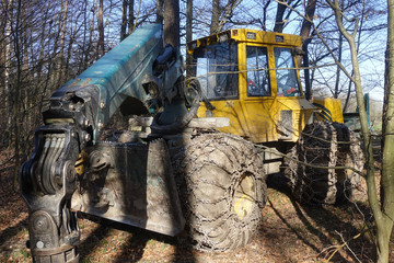 Harvester im Wald