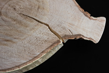 Wood texture with rings and scratches.