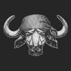 Portrait of buffalo, bison, bull, cow. Bandana. Biker, pirate. Face of animal.