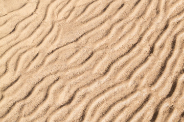 Gold sand with abstract wave pattern. Sand texture background. Summer  and holiday concept.