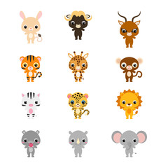 Cute cartoon african animals illustration for children. Flat vector stock illustration