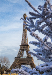 Street with view on the famous paris eiffel tower .