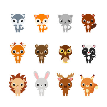 Cute cartoon forest animals illustration for children. Flat vector stock illustration