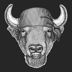 Buffalo, bison, bull head. Bandana. Biker, pirate. Portait of animal.