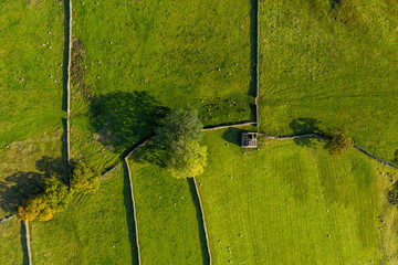 An aerial shot of a derelict barn light by spring sunshine