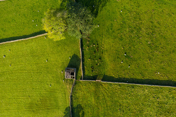 An aerial shot of a derelict barn light by spring sunshine