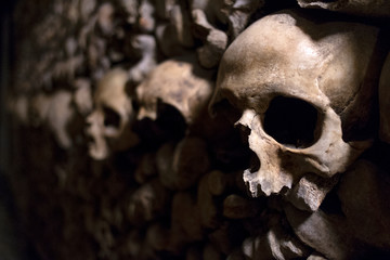 esqueleto, cuerpo humano, craneo, muerte, enfermedad, pandemia, infeccion, virus, sueños,...