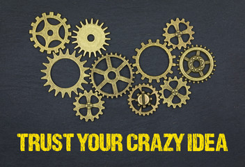 Trust your crazy idea 