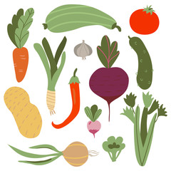 vegetable set. Farmers market concept illustration with fresh vegetables isolated on the white background.