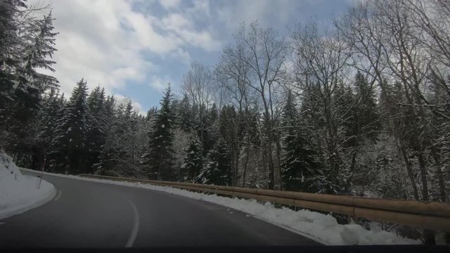 Speed up point of view driving on countryside curved road between spruce forest trees. Idyll landscape in winter season in Pokljuka plateau, Slovenia