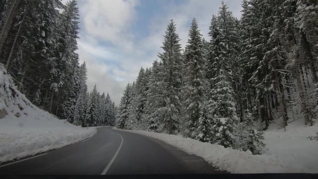 Point of view slow driving on countryside road between spruce forest trees. Idyll landscape in winter season in Pokljuka plateau, Slovenia