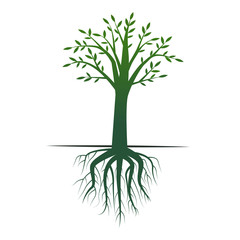 green tree with crown and root © Полякевич Олена