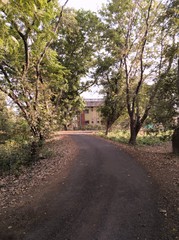 Fototapeta premium alley in park