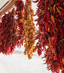 Naklejka premium Sun Dried Red Peppers 