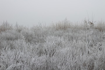 Obraz premium Иней и туман