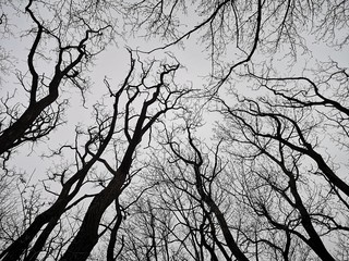 Ruine Gösting Graz mit Jungfernsprung und Cholerakapelle