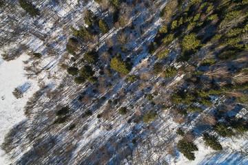 Aerial view from the drone. Winter landscape with a beautiful spruce forest from a height