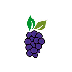 Grape fruit icon logo design vector