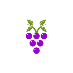 Grape fruit icon logo design vector