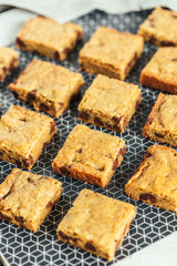 Chocolate Chip Blondie Squares