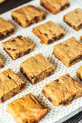 Chocolate Chip Blondie Squares