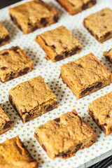 Chocolate Chip Blondie Squares