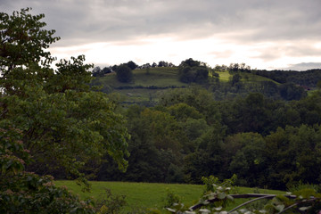 Beautiful green alpine hill, viewed from a garden. It is the evening, the sunset is beginning.