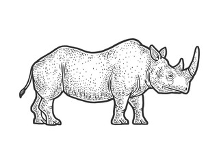 rhinoceros sketch engraving vector illustration. T-shirt apparel print design. Scratch board imitation. Black and white hand drawn image.