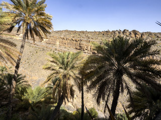 Traditional Omani village, Misfat al Abriyyin village. Oman