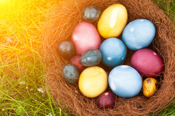Easter eggs in organic colors on the spring grass. The concept of stylish natural decoration for Easter, minimalistic, zero waste, greeting cards, etc.