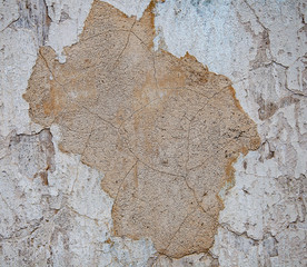 Old cracked concrete, cement wall texture. Surface and background for web design.