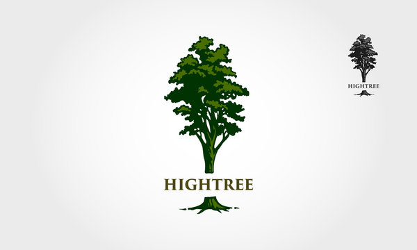 High Tree Vector Logo Illustration. Tree a symbol of strength, power, longevity, freedom, fertility, hope and continuity.